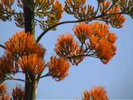 Klick f�r gro�es Bild