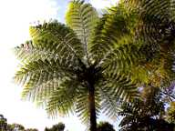 Klick f�r gro�es Bild