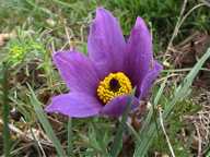 Klick f�r gro�es Bild