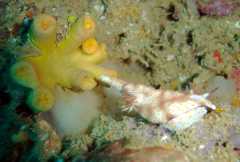 Klick f�r gro�es Bild