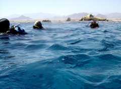 Klick f�r gro�es Bild